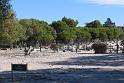 Robben Island (7)